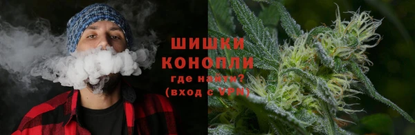 молекула духа Верхний Тагил