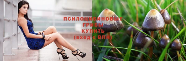 молекула духа Верхний Тагил