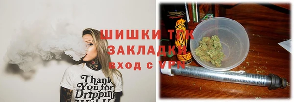 молекула духа Верхний Тагил