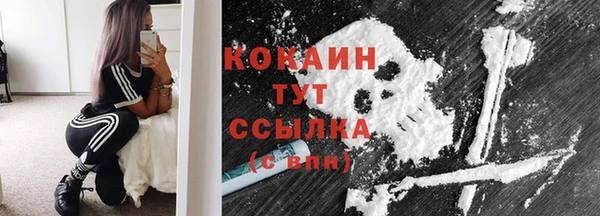 крисы Володарск