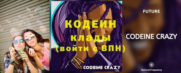 крисы Володарск