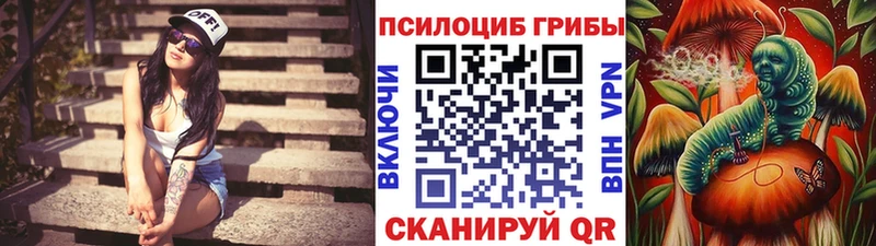 Галлюциногенные грибы прущие грибы Инза